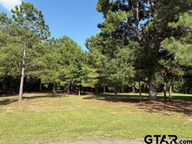 0.49 acres in Wood County - photo 2
