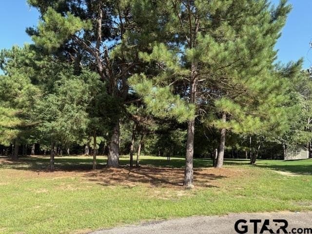 204 Pack Saddle Ridge