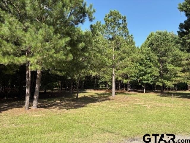 0.49 acres in Wood County - photo 3