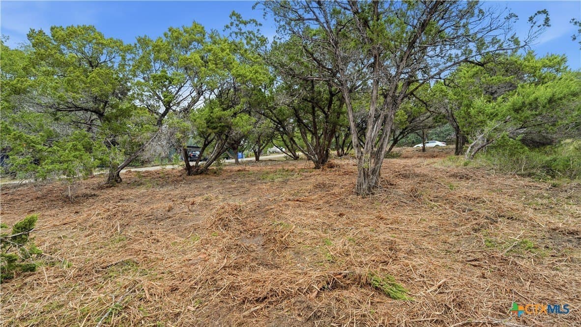 0.21 acres in Comal County - photo 4