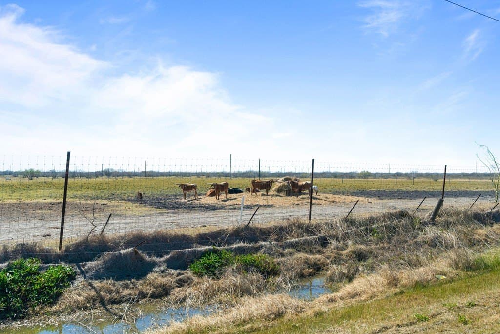100 acres in Texas County - photo 8