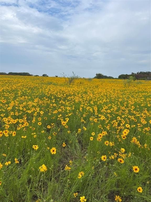 3.93 acres in Erath County - photo 13