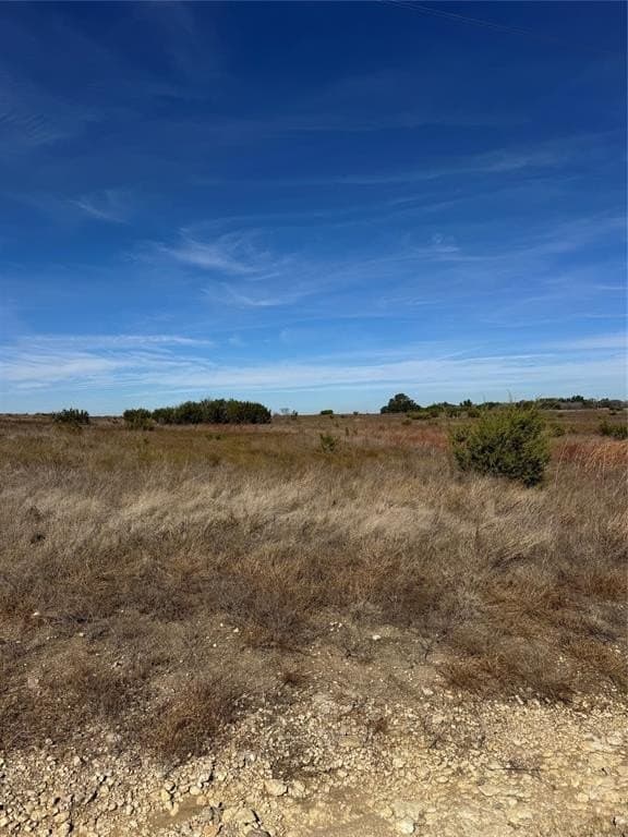 3.93 acres in Erath County - photo 6