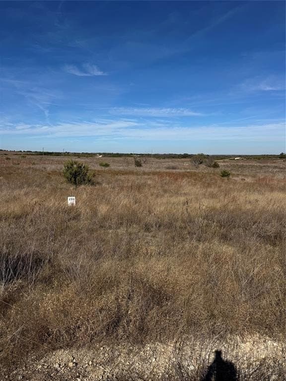 3.93 acres in Erath County - photo 9