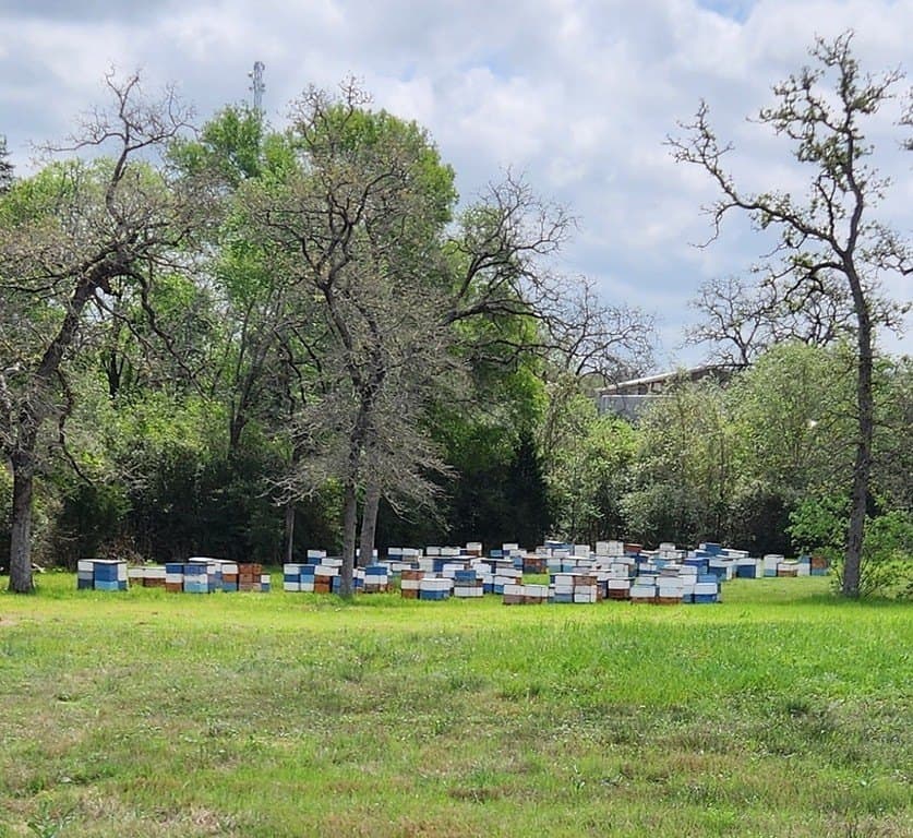 12.93 acres in Lee County - photo 26