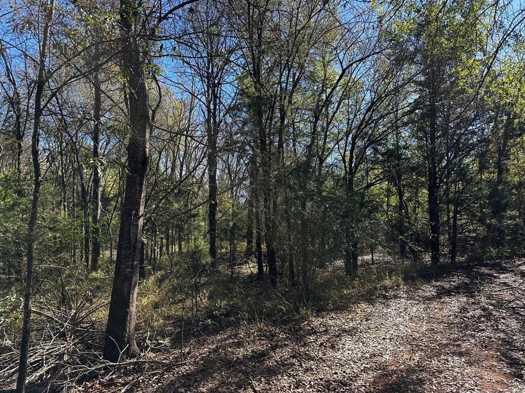 10 acres in Van Zandt County - photo 5