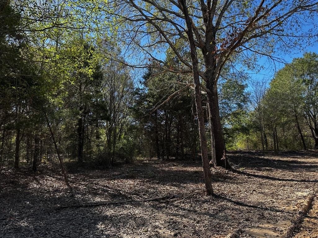 10 acres in Van Zandt County - photo 4