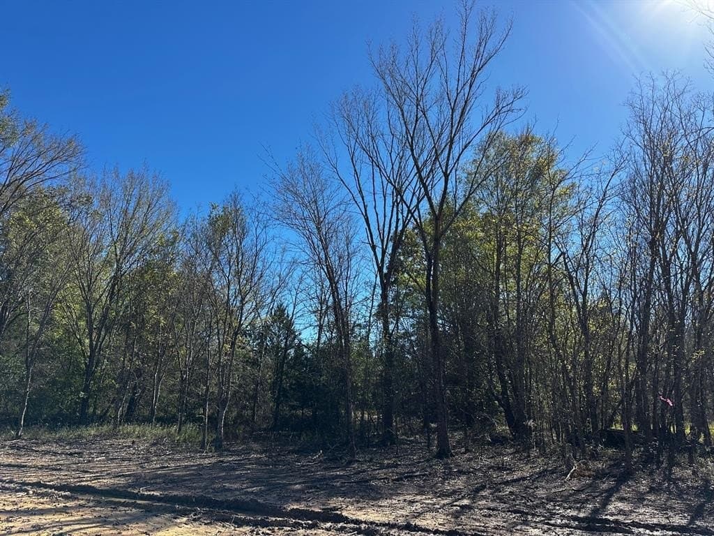 10 acres in Van Zandt County - photo 3