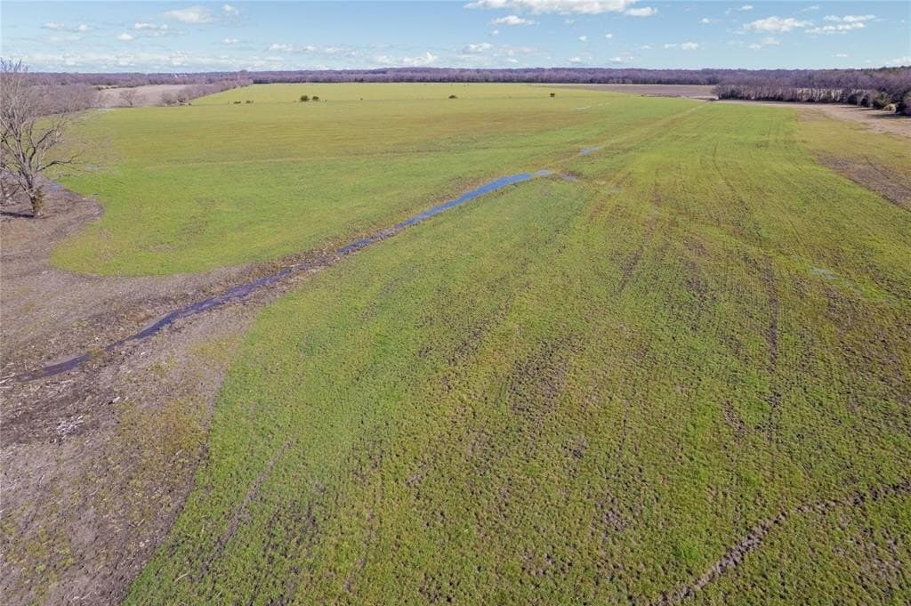 45.49 acres in Fannin County - photo 6