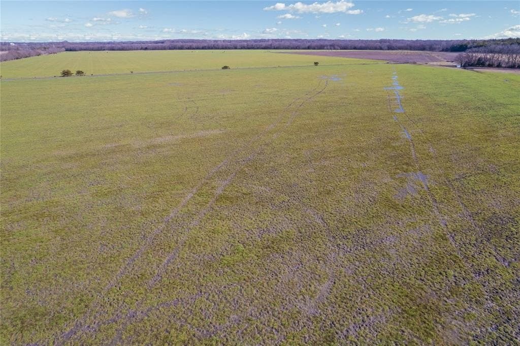 45.49 acres in Fannin County - photo 7