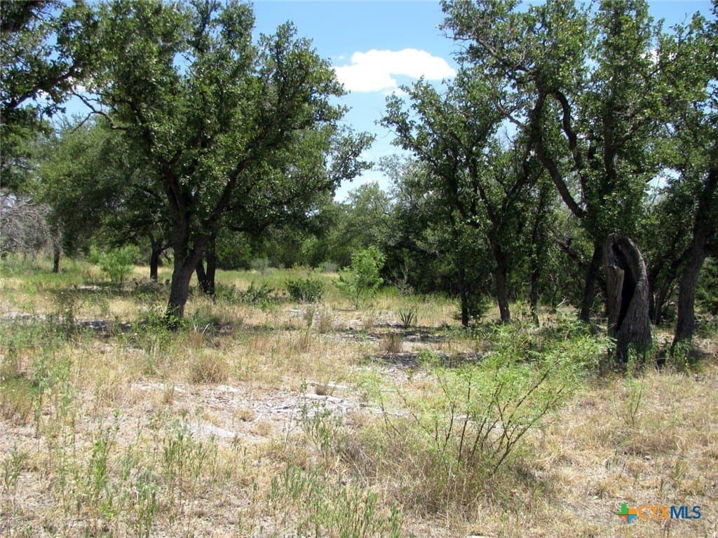 20 acres in Hamilton County - photo 5