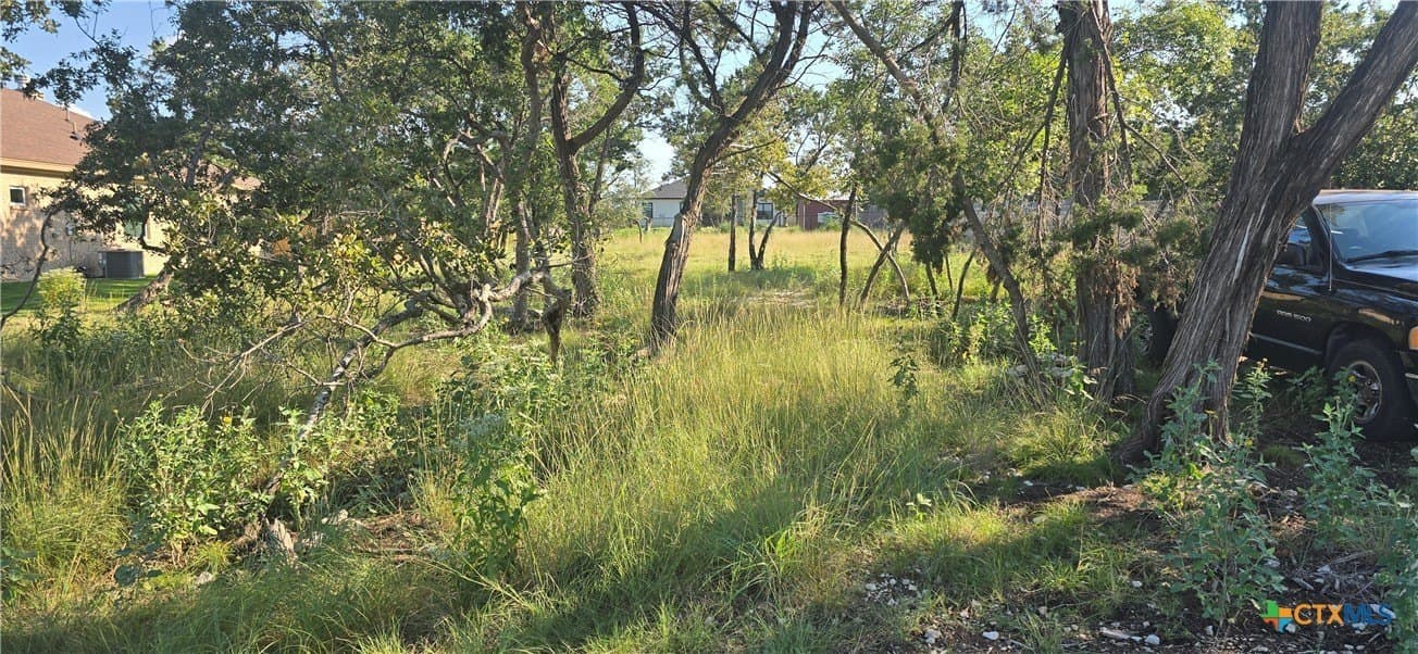 0.34 acres in Bell County - photo 3