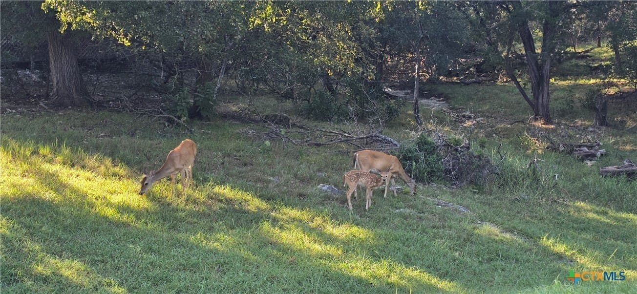 0.34 acres in Bell County - photo 10