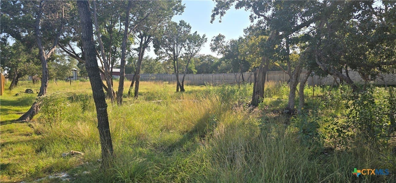 0.34 acres in Bell County - photo 7