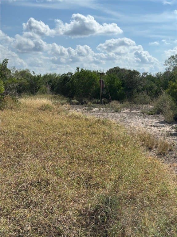 25 acres in Duval County - photo 7