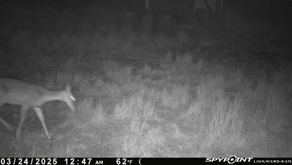 25 acres in Duval County - photo 21