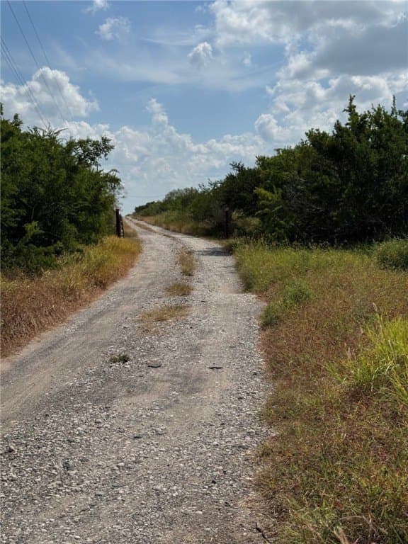 25 acres in Duval County - photo 4