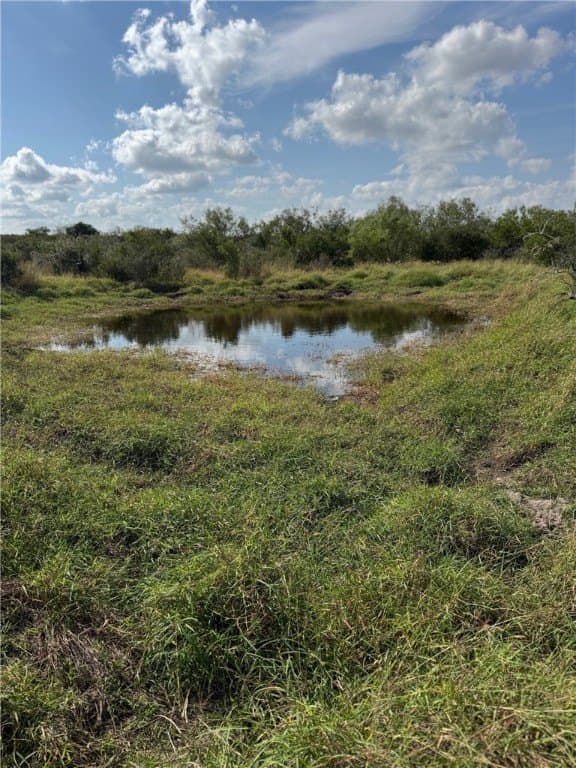 25 acres in Duval County - photo 5