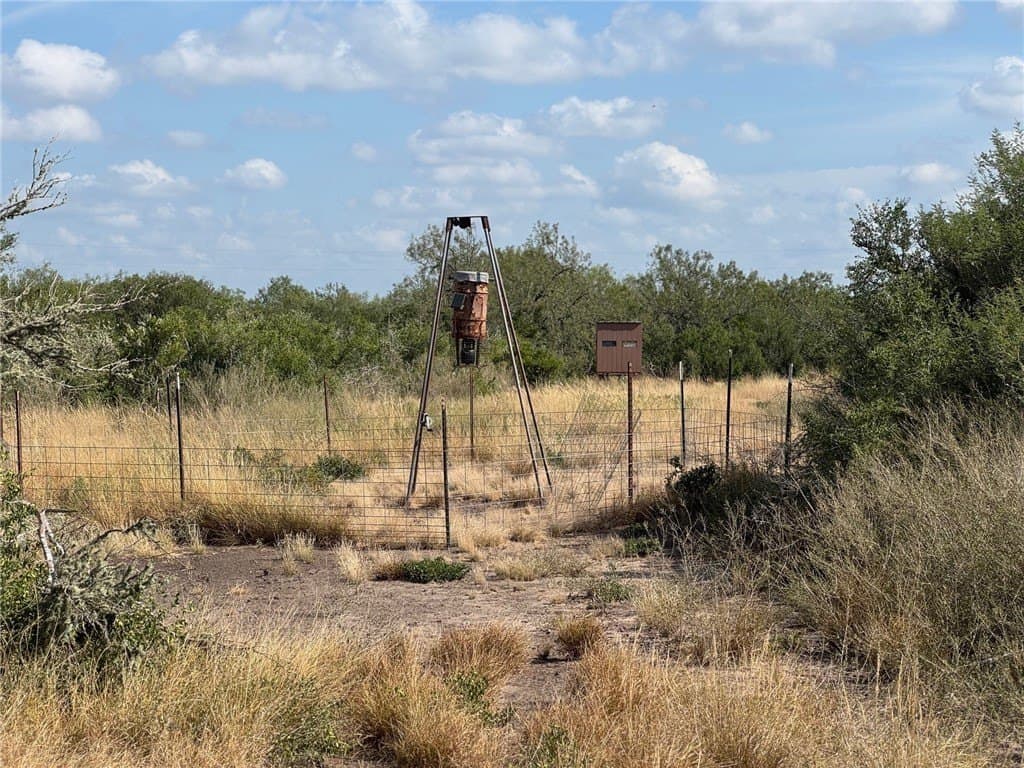25 acres in Duval County - photo 8