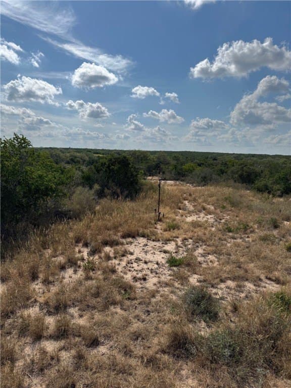 25 acres in Duval County - photo 10
