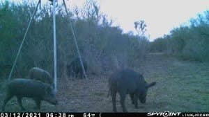 25 acres in Duval County - photo 24
