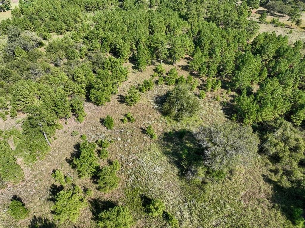 10.24 acres in Walker County - photo 12