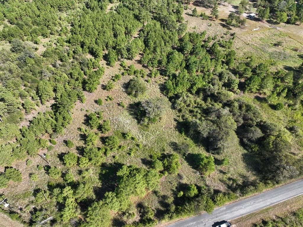 10.24 acres in Walker County - photo 9