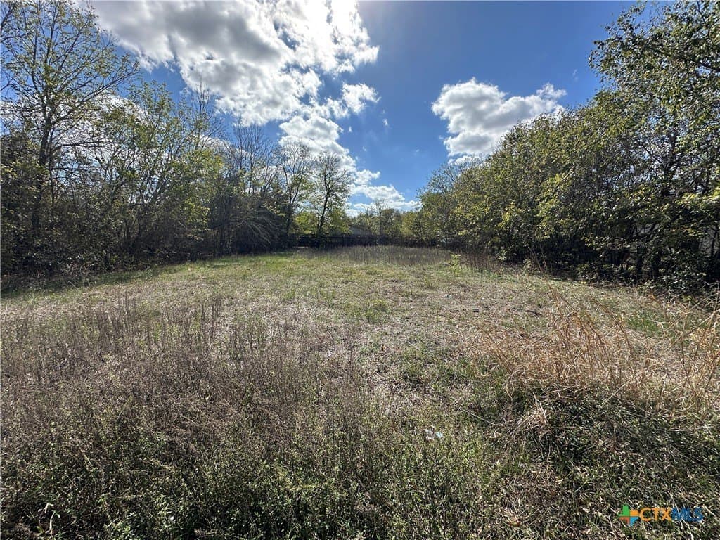 0.23 acres in Bastrop County - photo 2