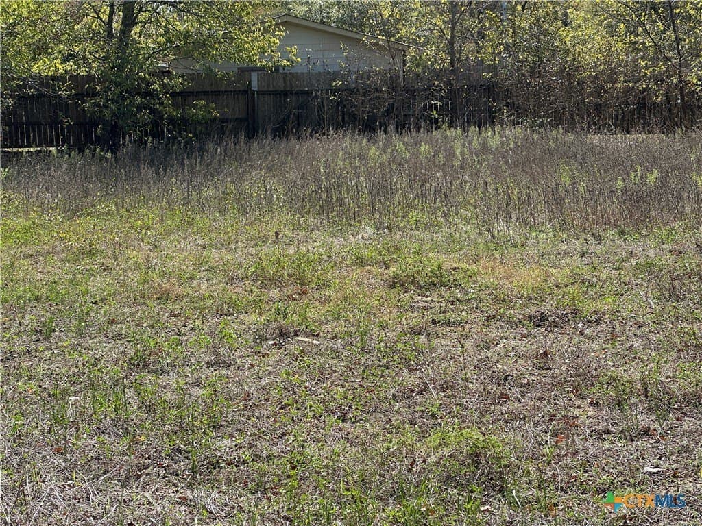 0.23 acres in Bastrop County - photo 3