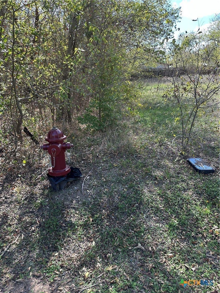 0.23 acres in Bastrop County - photo 8