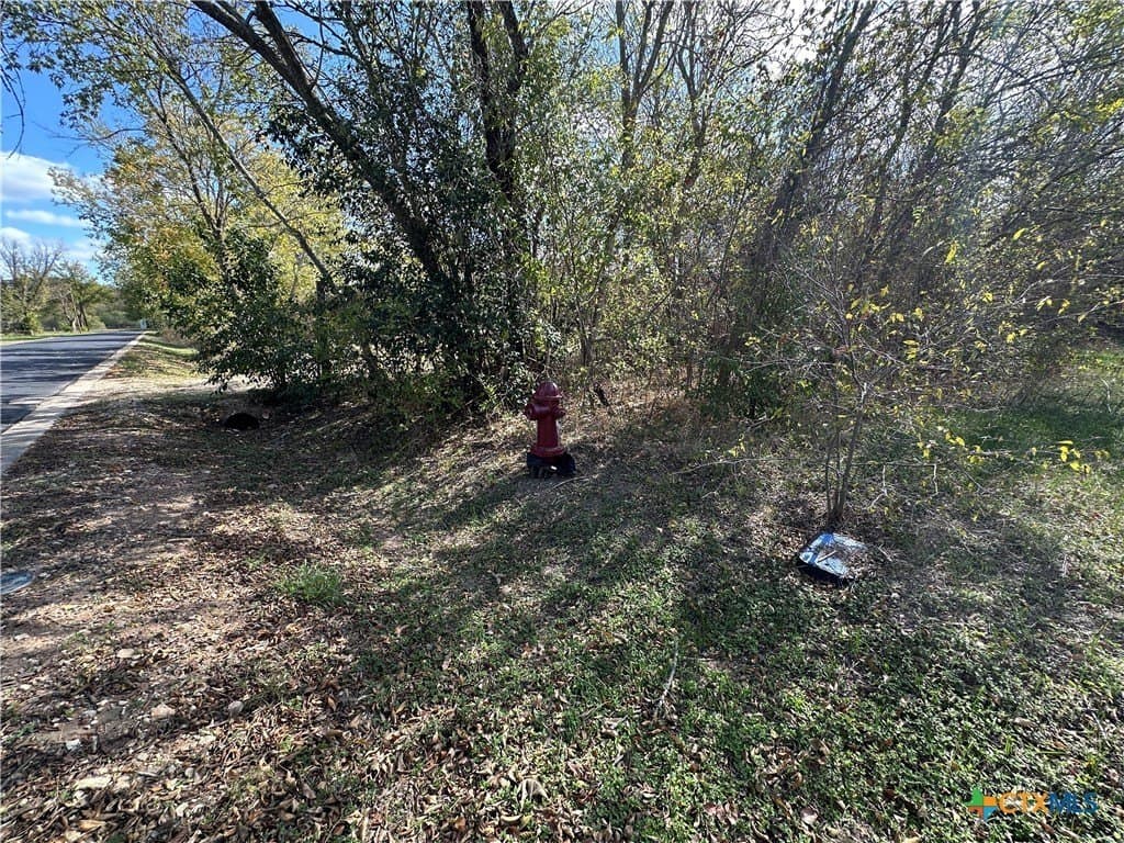 0.23 acres in Bastrop County - photo 7
