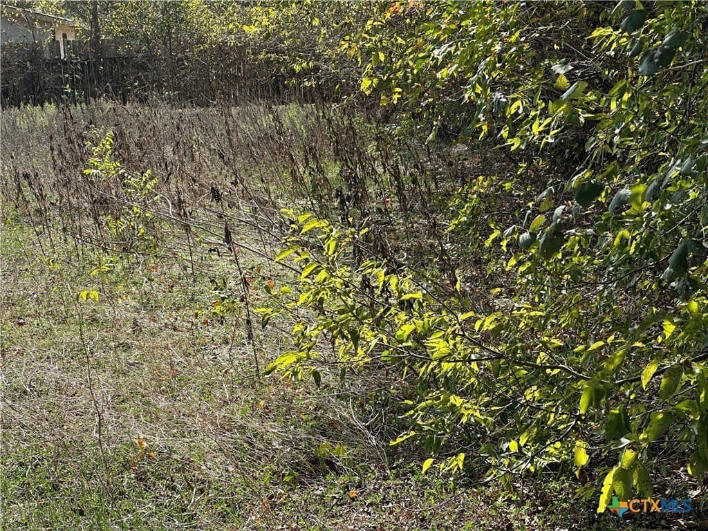 0.23 acres in Bastrop County - photo 5