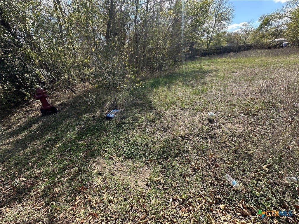 0.23 acres in Bastrop County - photo 6