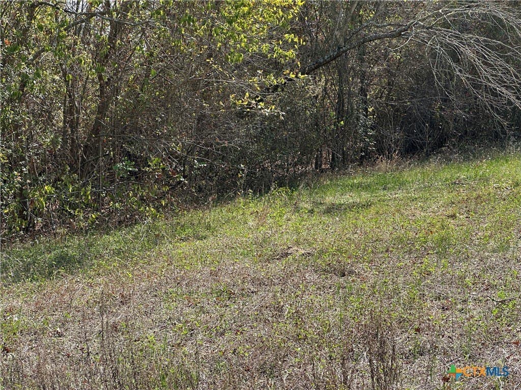 0.23 acres in Bastrop County - photo 4