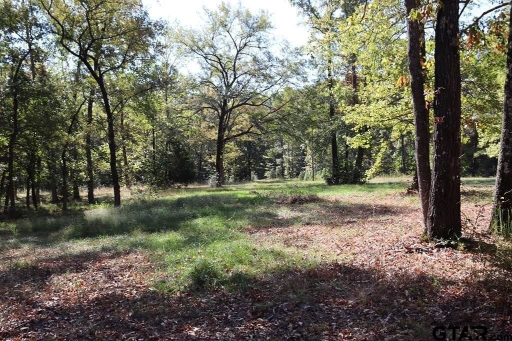 27.97 acres in Anderson County - photo 45