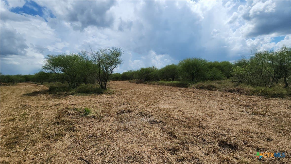 37.64 acres in Victoria County - photo 5
