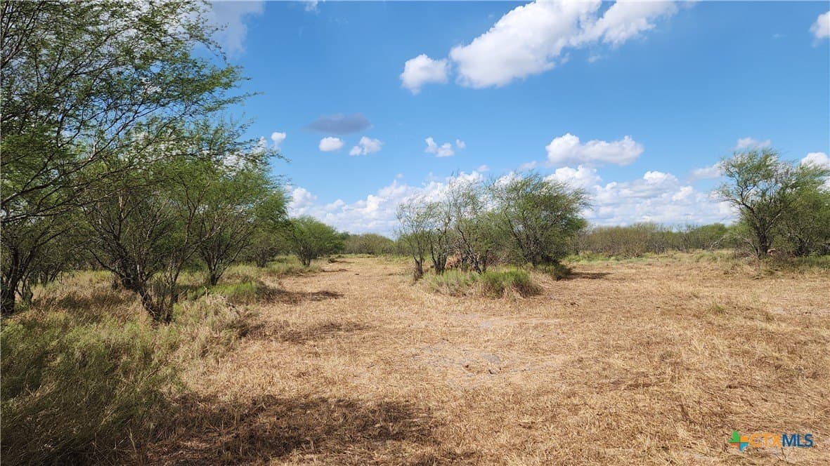37.64 acres in Victoria County - photo 4