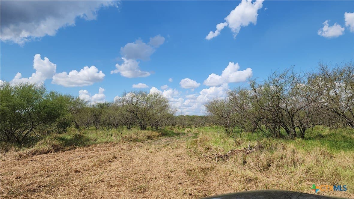 37.64 acres in Victoria County - photo 6
