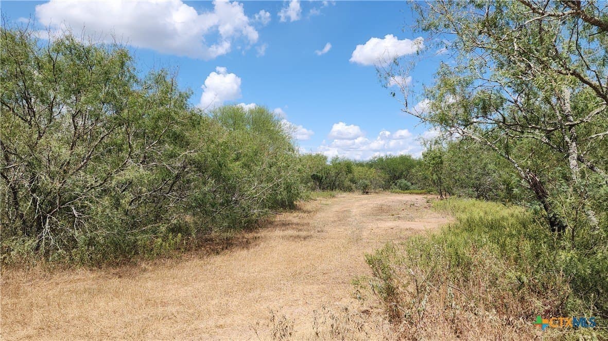 37.64 acres in Victoria County - photo 2