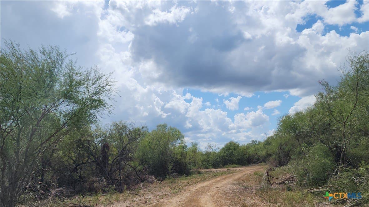 37.64 acres in Victoria County - photo 8