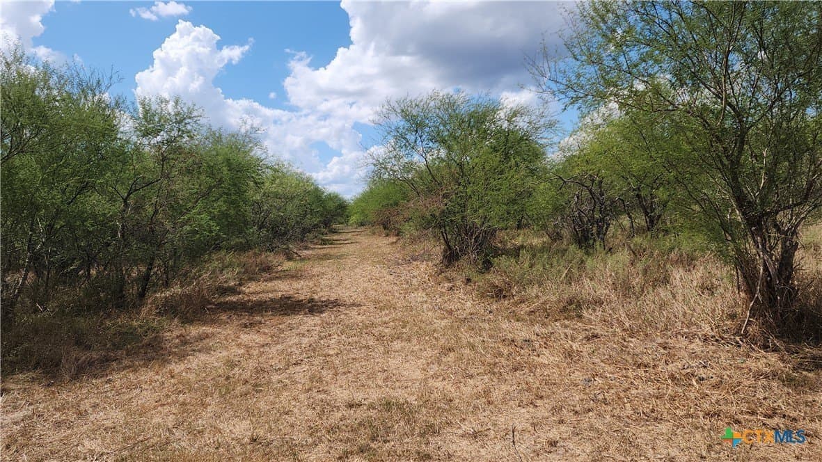 37.64 acres in Victoria County - photo 3