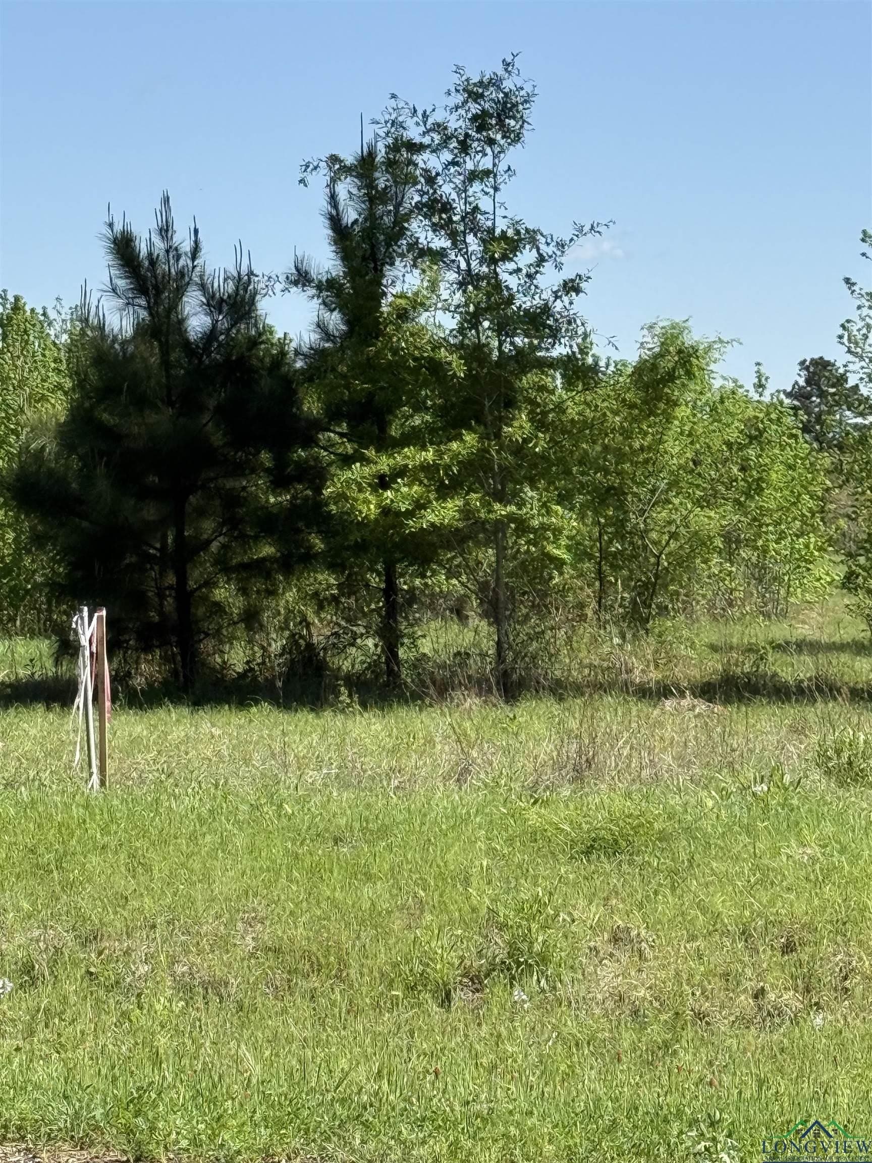 4 acres in Rusk County - photo 2