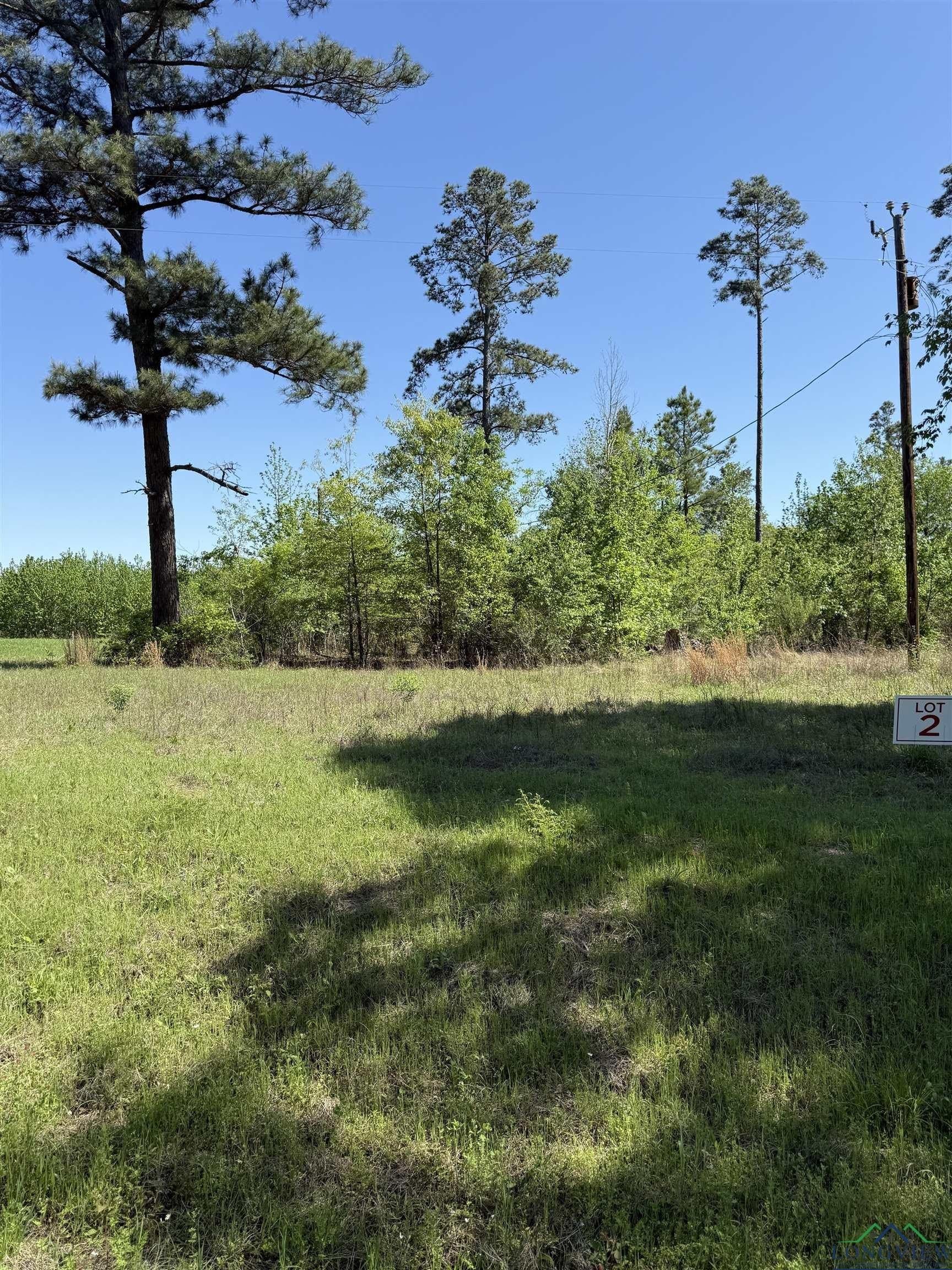 4 acres in Rusk County - photo 3