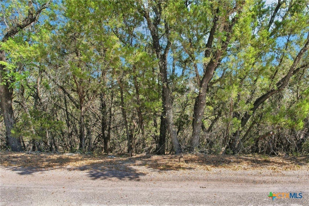 0.24 acres in Travis County - photo 2