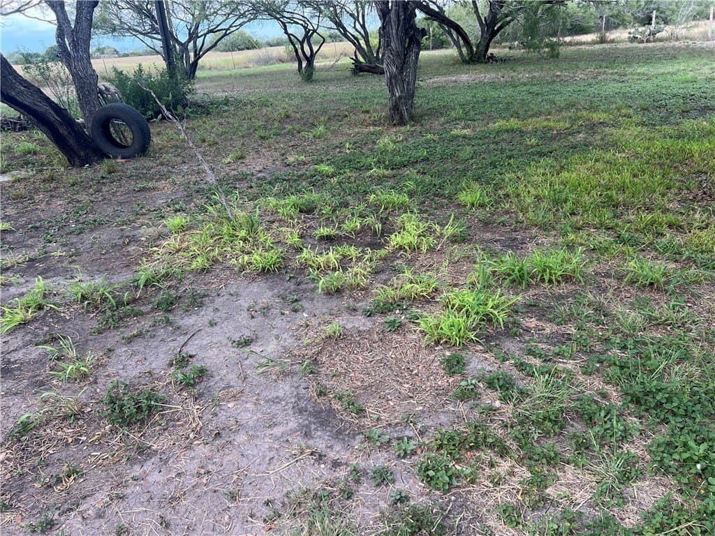 56 acres in Jim Wells County - photo 22