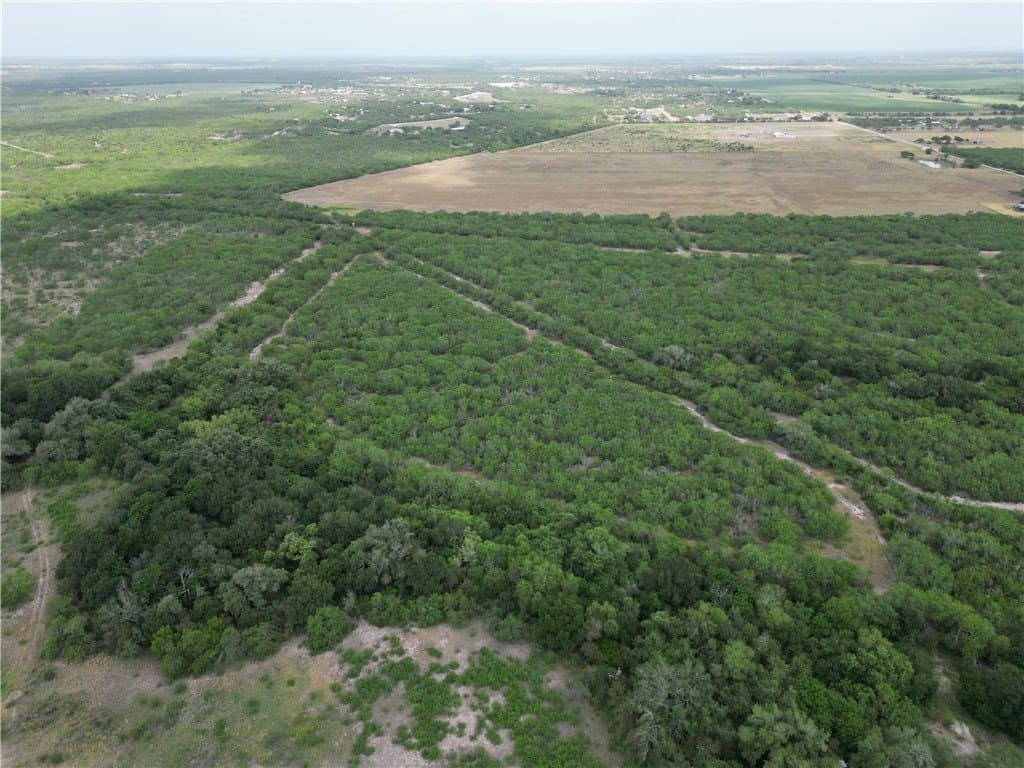 56 acres in Jim Wells County - photo 4