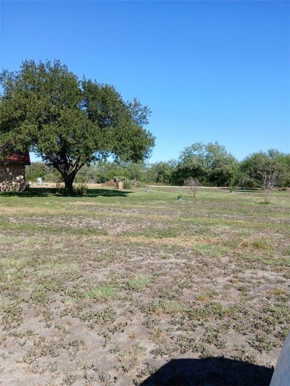 56 acres in Jim Wells County - photo 17