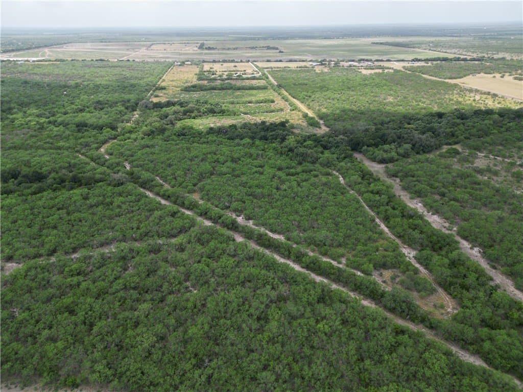 56 acres in Jim Wells County - photo 5