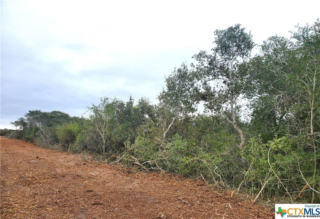 2 acres in Calhoun County - photo 4