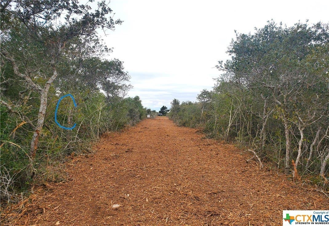 2 acres in Calhoun County - photo 3
